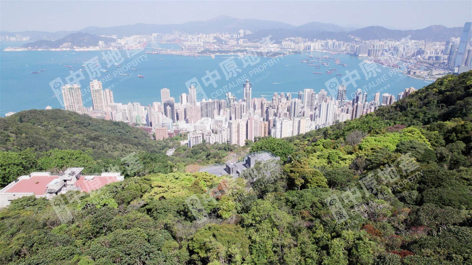 山頂屬傳統豪宅地段,發展商一向極為「錫貨」。