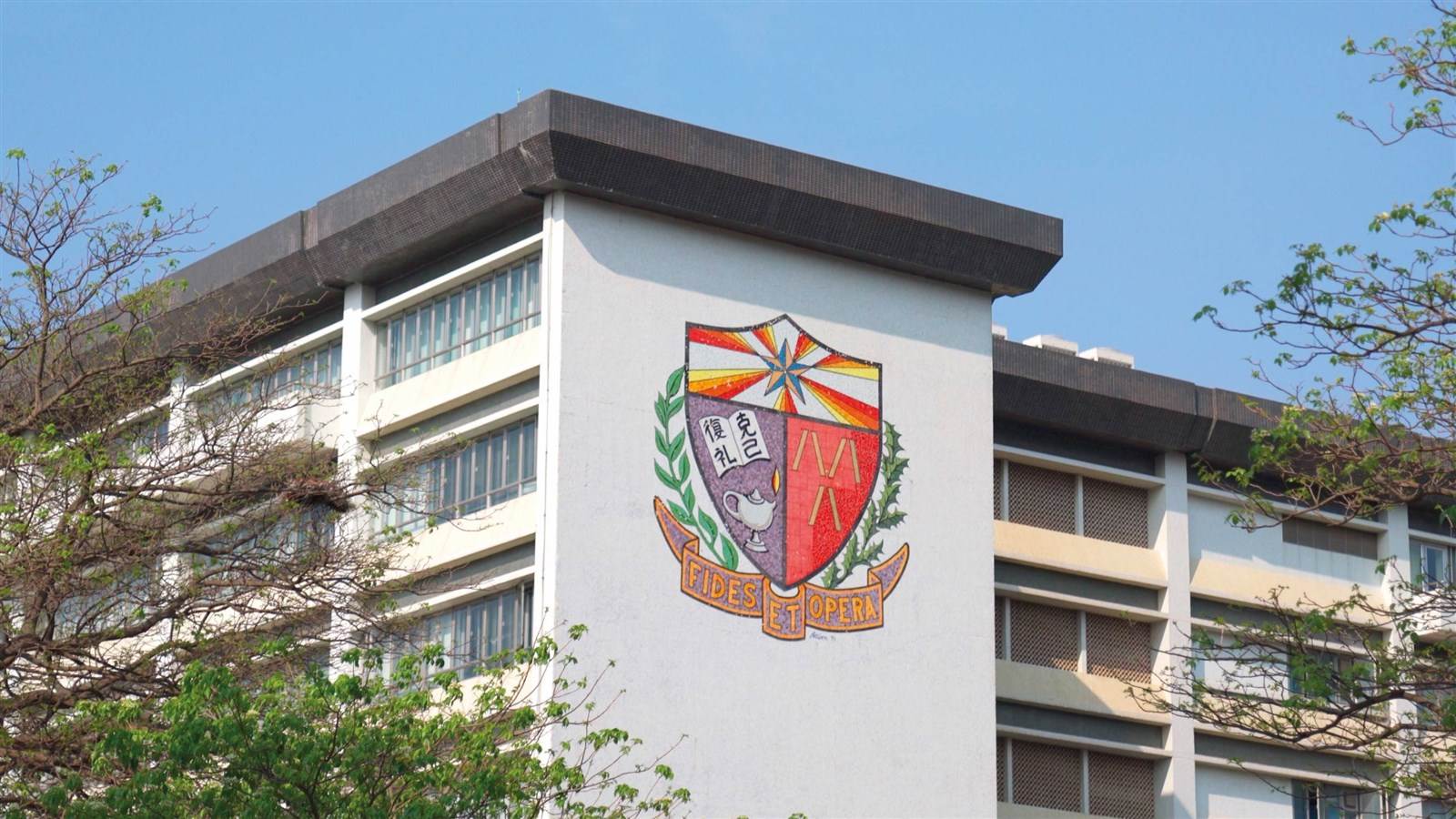 城軒坐擁34小學名校網及九龍城區中學優勢,是傳統名校雲集地區。